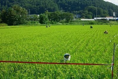 長野県野辺山と小海線でつむ散歩