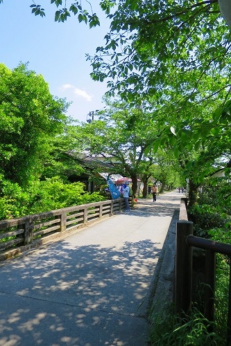 朝倉市秋月(福岡県城下町）重要伝統的建造物群保存地区