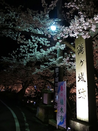 会津若松を散歩｜戊辰の歴史と桜満開の鶴ヶ城と会津若松をぶらい散歩