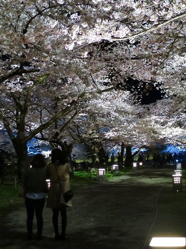 会津若松を散歩｜戊辰の歴史と桜満開の鶴ヶ城と会津若松をぶらい散歩