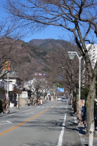 甲府を散歩｜見延線車窓から富士山と甲府ワインと武田神社を散歩