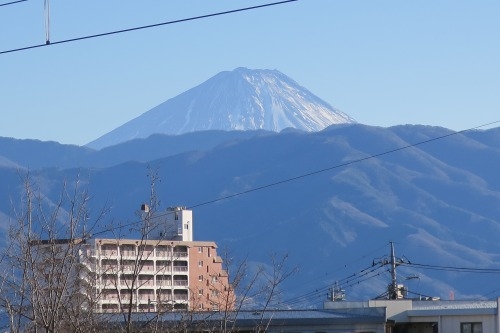 甲府を散歩｜見延線車窓から富士山と甲府ワインと武田神社を散歩