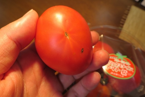 トマトでしょ