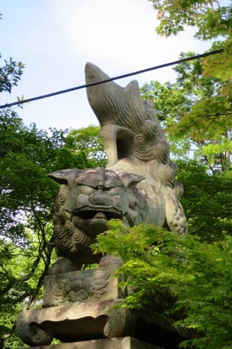 狛犬　中国編　個性的な狛犬を紹介　狛犬にもいろいろある！