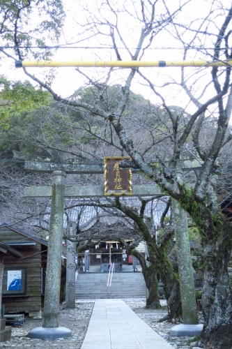 徳島市内を散歩｜鳴門から徳島ラーメンと眉山ちかく寺町をを散歩