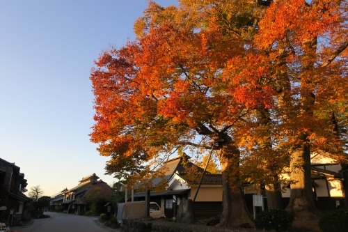 海野宿の散歩｜秋の海野宿風景と手作りビードロで日本酒を楽しみたい