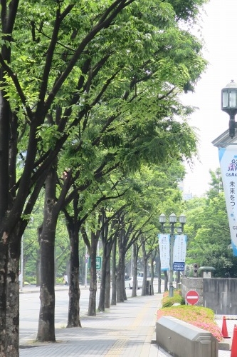 中ノ島を散歩｜大阪市中央公会堂と大阪市内名建築をぶらり散歩