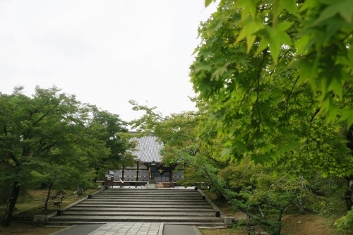 京都のドローカルを散歩｜五番町遊郭跡と妖怪ストリートと仁和寺散歩