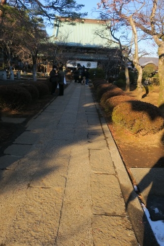 豪徳寺を散歩｜2022年正月に松陰神社で初詣のお参りと豪徳寺