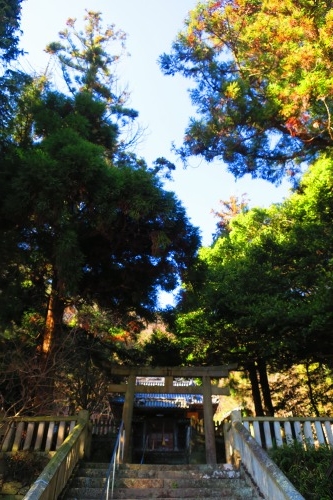 龍野を散歩｜播磨の小京都龍野・脇坂氏の城下町を朝から散歩