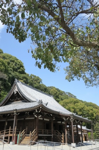 須磨を散歩｜一之谷の戦い　平敦盛と熊谷直実の一騎打ちと須磨寺