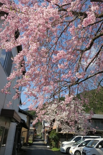 若桜を散歩｜若桜鉄道で行く因幡の城下町若桜と白壁の土蔵群を散歩