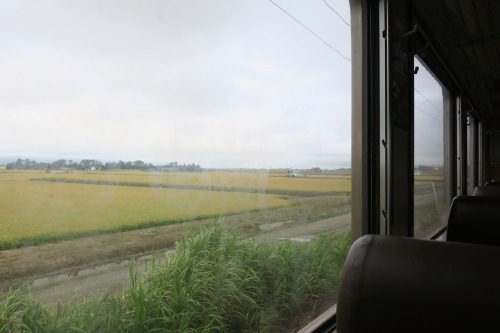 旭川を散歩｜旭川でサーモンいくら丼と電車からの北海道の夕日