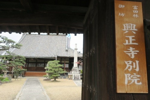 富田林を散歩(寺内町・在郷町)重要伝統的建造群保存地区