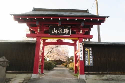 安中を散歩｜安中藩の城下町と安中宿と昭和の風景を散歩桜とツバキ