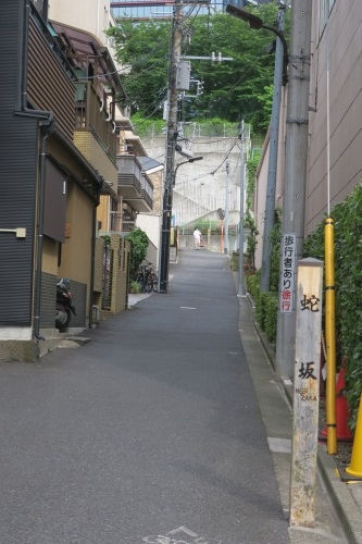 蛇坂を散歩（東京都港区三田）この坂ではヘビがよくでたとか笑