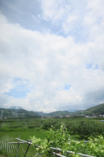 JR飯山線の旅｜新潟長岡駅から長野駅までの車窓の風景を楽しむ旅