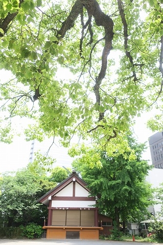 川崎宿を散歩｜東海道の宿場町川崎宿はもう400年らしい散歩しよう
