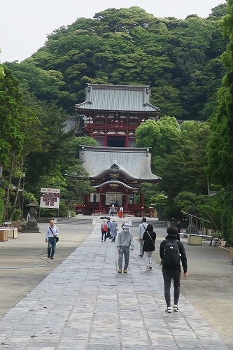 鎌倉を散歩｜いざ鎌倉！鎌倉殿の13人記念で鎌倉散歩をしてみたら
