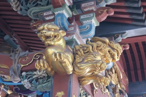 王子から散歩｜王子稲荷神社と昭和の風景・東十条の商店街をふと散歩