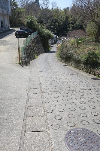 ねずみ坂を散歩（福島県いわき市）ねずみがいるのか検証してみた