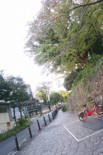 桜木町を散歩｜横浜に井伊直弼と昭和の歌姫美空ひばりさんの銅像あり