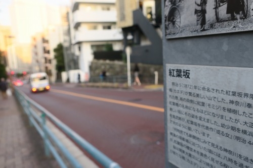 紅葉坂を散歩（神奈川県横浜市）有島武郎の『或る女』が散歩した坂