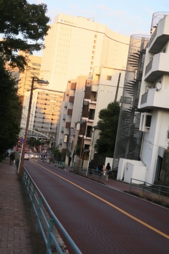 紅葉坂を散歩（神奈川県横浜市）有島武郎の『或る女』が散歩した坂