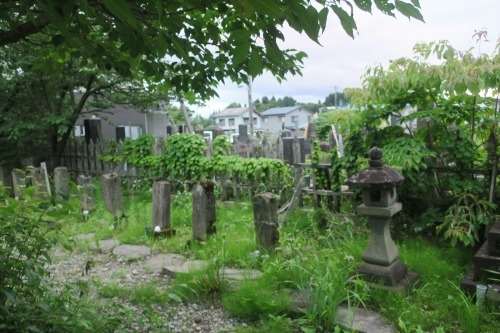 仙北市角館を散歩（秋田・武家町）重要伝統的建造群保存地区