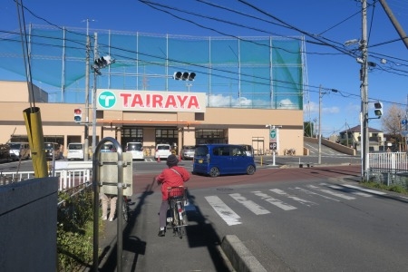 幸手を散歩|徳川将軍家が日光へ宿場町幸手宿の現在の風景はどんなん