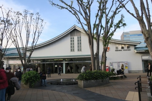 三島を散歩|三島広小路から看板建築をみながら三嶋大社まで散歩で
