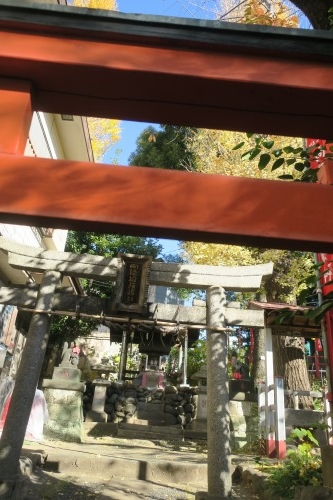 根津を散歩|谷中の商店街から根津神社でお参りして東京大学まで散歩