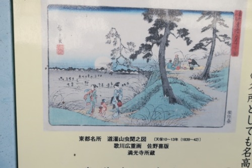 根津を散歩|谷中の商店街から根津神社でお参りして東京大学まで散歩