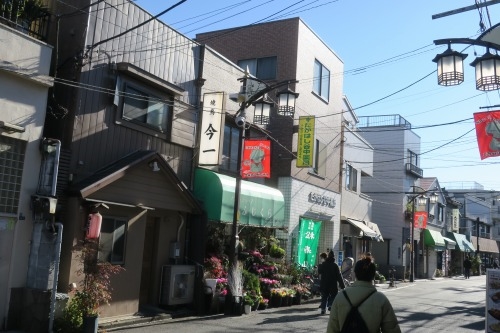 根津を散歩|谷中の商店街から根津神社でお参りして東京大学まで散歩