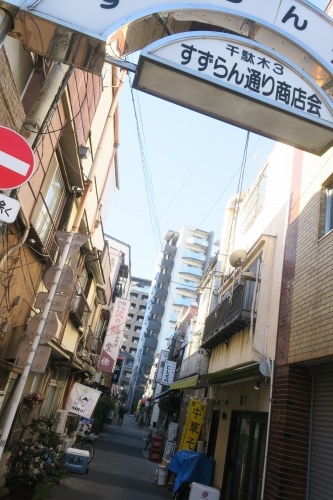 根津を散歩|谷中の商店街から根津神社でお参りして東京大学まで散歩