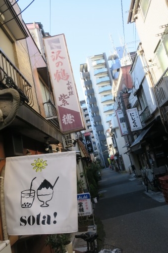 根津を散歩|谷中の商店街から根津神社でお参りして東京大学まで散歩