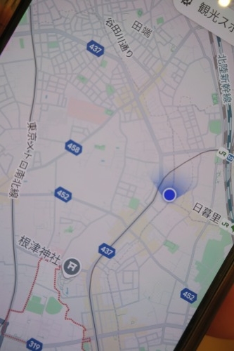 根津を散歩|谷中の商店街から根津神社でお参りして東京大学まで散歩
