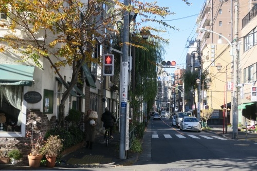 根津を散歩|谷中の商店街から根津神社でお参りして東京大学まで散歩