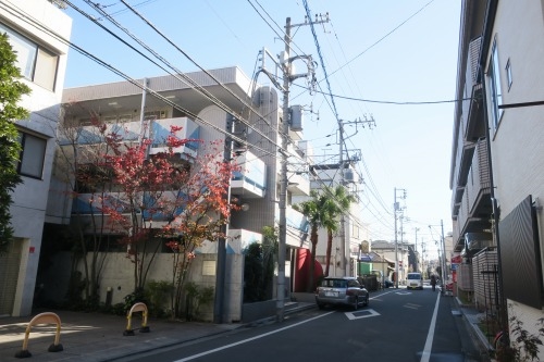 根津を散歩|谷中の商店街から根津神社でお参りして東京大学まで散歩