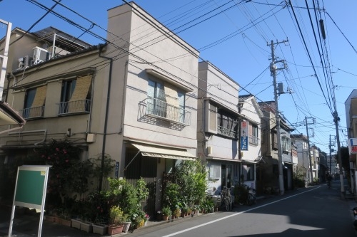 根津を散歩|谷中の商店街から根津神社でお参りして東京大学まで散歩