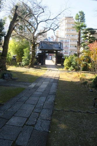 根津を散歩|谷中の商店街から根津神社でお参りして東京大学まで散歩