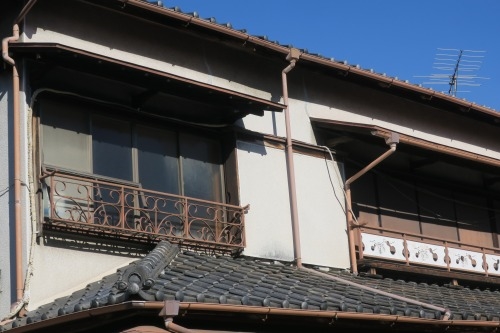 根津を散歩|谷中の商店街から根津神社でお参りして東京大学まで散歩