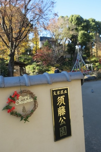 根津を散歩|谷中の商店街から根津神社でお参りして東京大学まで散歩