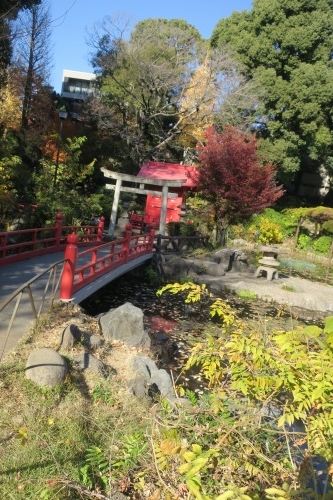 根津を散歩|谷中の商店街から根津神社でお参りして東京大学まで散歩