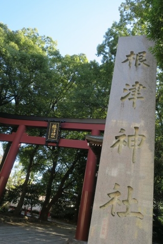 根津を散歩|谷中の商店街から根津神社でお参りして東京大学まで散歩