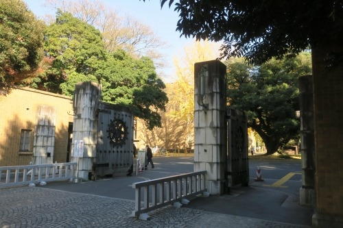 根津を散歩|谷中の商店街から根津神社でお参りして東京大学まで散歩