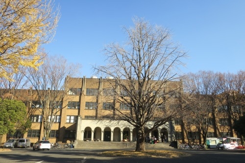根津を散歩|谷中の商店街から根津神社でお参りして東京大学まで散歩