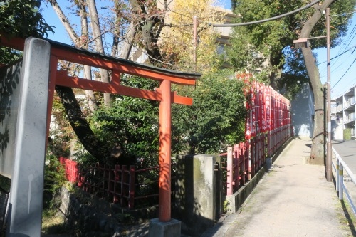 向陵稲荷坂を散歩|向陵稲荷坂に向陵稲荷があるのか検証してみた