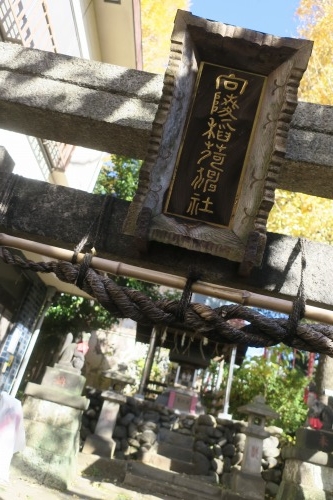 向陵稲荷坂を散歩|向陵稲荷坂に向陵稲荷があるのか検証してみた