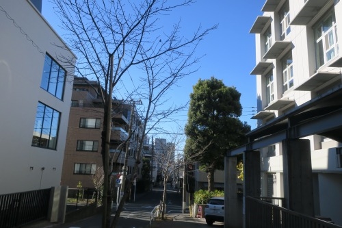 向陵稲荷坂を散歩|向陵稲荷坂に向陵稲荷があるのか検証してみた